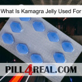 What Is Kamagra Jelly Used For 21